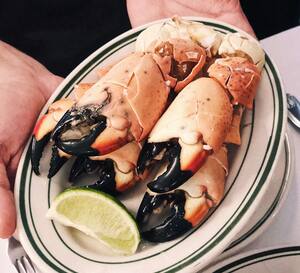 Joe S Stone Crab Miami Beach Miami Zomato Joe S Stone Crab Miami Beach Miami Zomato